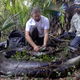 Imagen para el artículo titulado Capturan la pitón birmana más pesada jamás capturada en Florida